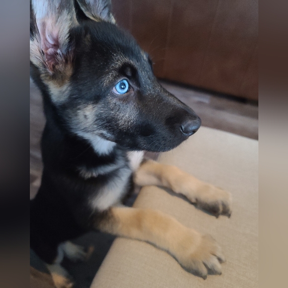 Meet your Posher, Mariko - Picture 2 of 3